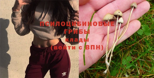 твердый Абинск