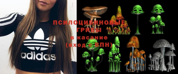 прущие грибы Киреевск